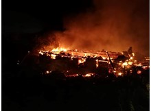 Sarıkavak cayır cayır…