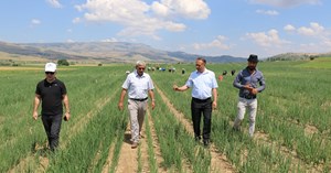 Soğan tarlasında köylülerle muhabbet