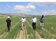 Soğan tarlasında köylülerle muhabbet