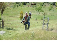 Park ve bahçelerde yoğun mesai