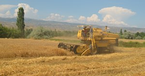 Osmancık’ta hasat zamanı