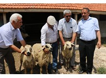 Türkiye’de bir ilk…