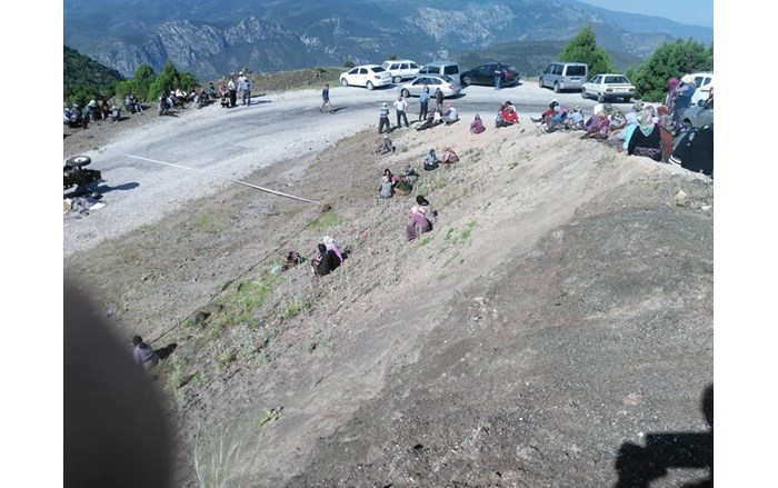 WhatsApp-Image-2019-06-08-at-12.12.30-2