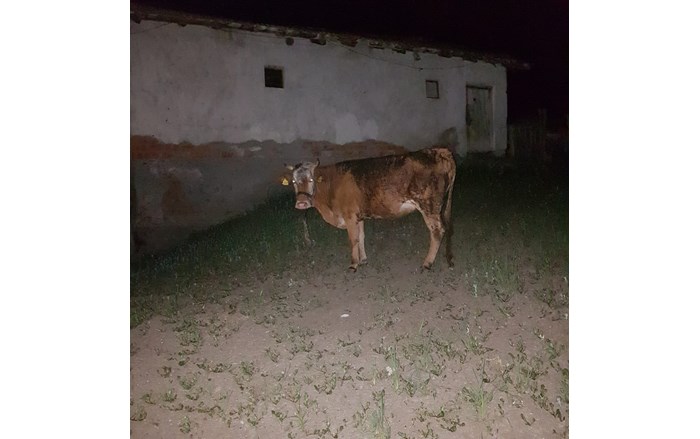WhatsApp-Image-2019-06-25-at-11.34.22