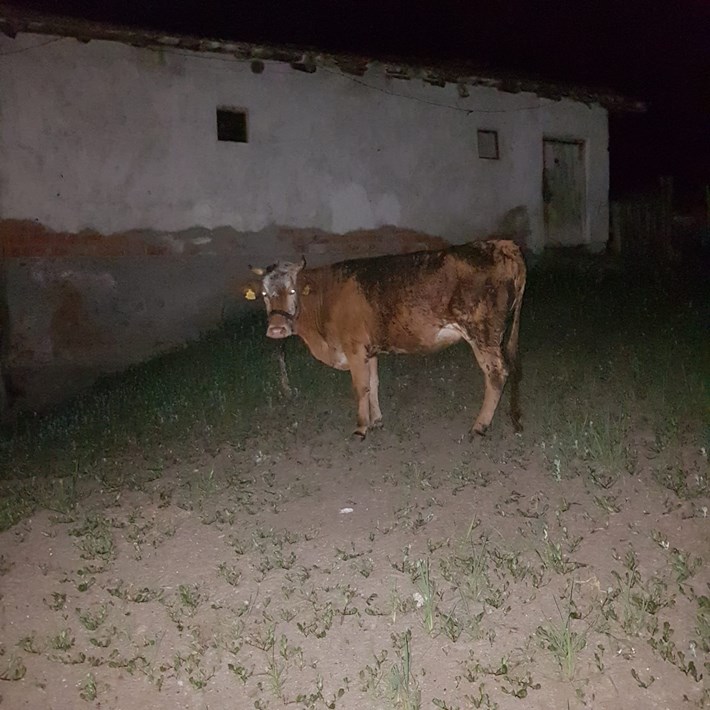 WhatsApp-Image-2019-06-25-at-11.34.22