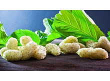 Meyvelerin şahı: dut