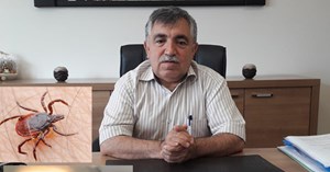 Keneler sadece kanla beslenir