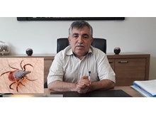 Keneler sadece kanla beslenir