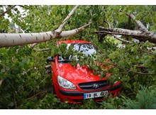 Alaca derinden vuruldu