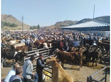 Hayvan pazarı doldu taştı