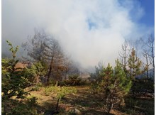 İskilip ve Kargı köylerinde orman yangını