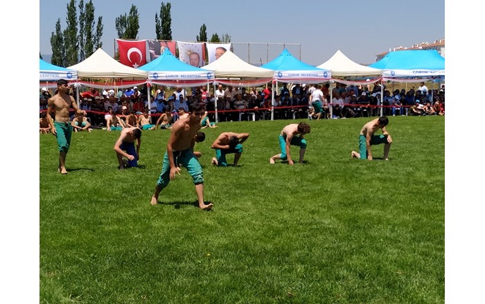 67703783_438715416973775_4253896486548406272_n