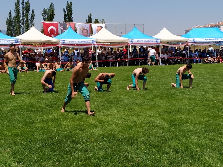 67703783_438715416973775_4253896486548406272_n