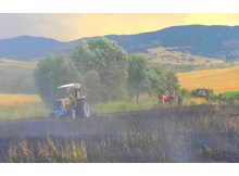 Tarla yangını 20 traktörle söndürüldü