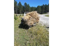 Sepetli motosiklet kazası: 1 ölü