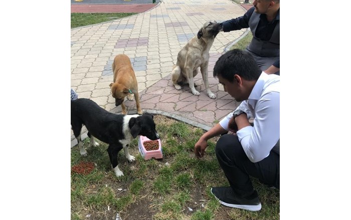 WhatsApp-Image-2019-07-06-at-18.45.58-3