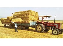 Saman balyası yüklerken römorktan düştü