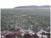 Köyler harap, köylü perişan