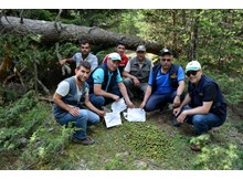 Kargı’da orman çalışmalarına tam not