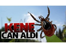 6 çocuk annesi kene kurbanı