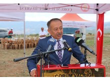 “Yonca ve yem bitkisinde söz sahibi olacağız”