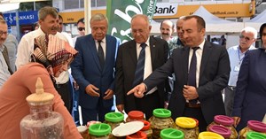 Dolma, Turşu ve Çilek Festivali