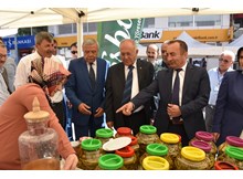 Dolma, Turşu ve Çilek Festivali