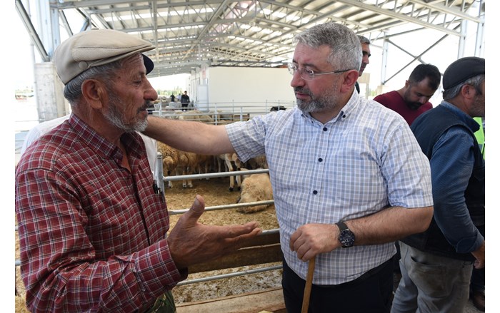 DSC_1881_2700x1800-1