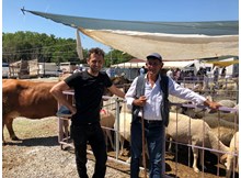 Bu kurbanlıklar yaylada yetişti...