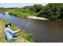 Baraj ve göletlerde balık avı yasaklandı