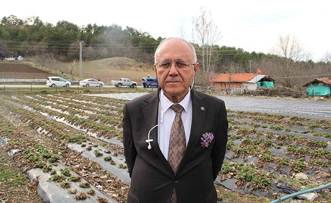 kaymakam (2)