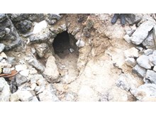 Kaçak kazıya suçüstü