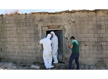 Köyde “kuduz” alarmı