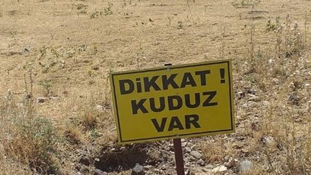 kuduz-2