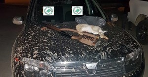 Av müfettişleri kaçak ava göz açtırmıyor