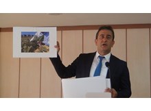 Küçük sineklerin kaynağı ayçiçek tarlaları