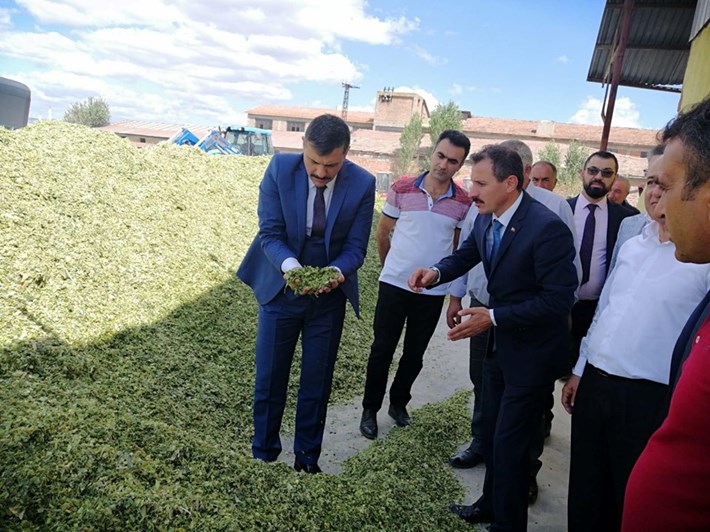 70261320_2658449680833292_4487990784208928768_n