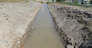 Derelerde temizlik çalışması
