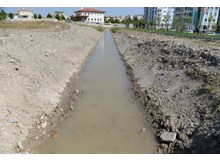 Derelerde temizlik çalışması