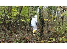 Kızılcık toplarken hayatını kaybetti