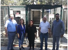 CHP’den sokak hayvanlarına karşı duyarlılık