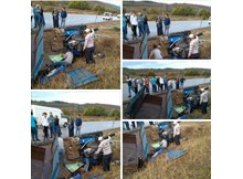 Traktör kazasında 1 ölü, 1 yaralı