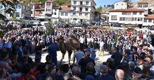 Yağmur duasında deve kurban ettiler