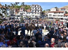 Yağmur duasında deve kurban ettiler