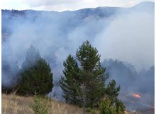 İskilip’te orman yangını