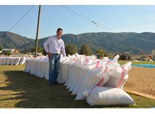 Çeltik üreticisinin yüzü gülmüyor