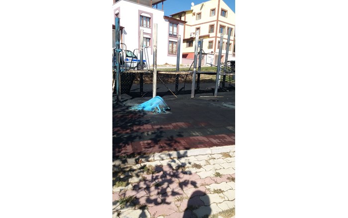 WhatsApp-Image-2019-10-14-at-18.44.51