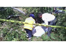 Kestiği ağacın altında can verdi