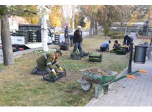 160 bin menekşe Çorum’u güzelleştirecek