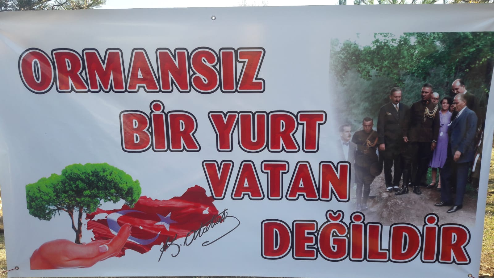 IMG-20191111-WA0001